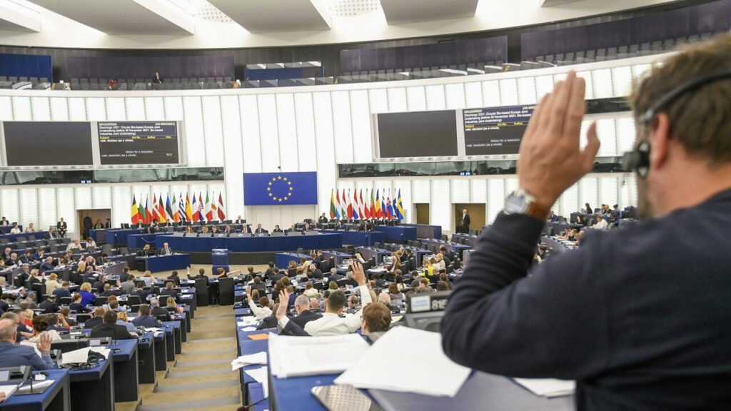 Paladini, ipocriti o eco-distruttori: le pagelle (ecologiste) degli eurodeputati