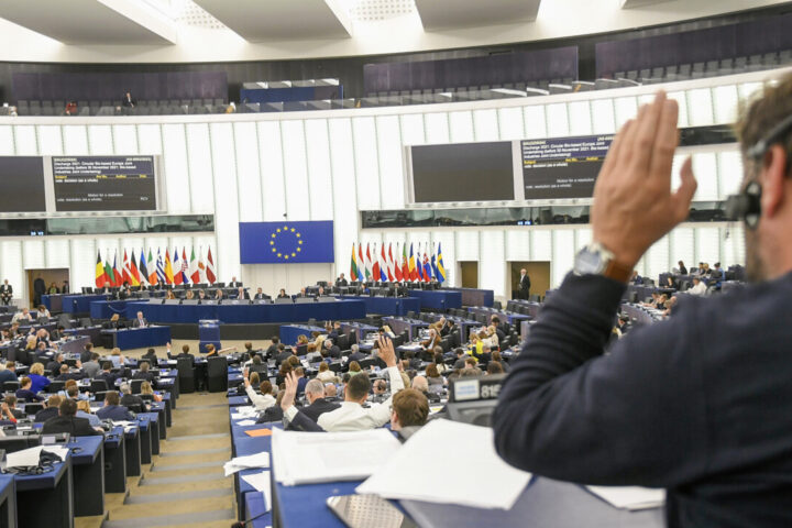 Paladini, ipocriti o eco-distruttori: le pagelle (ecologiste) degli eurodeputati