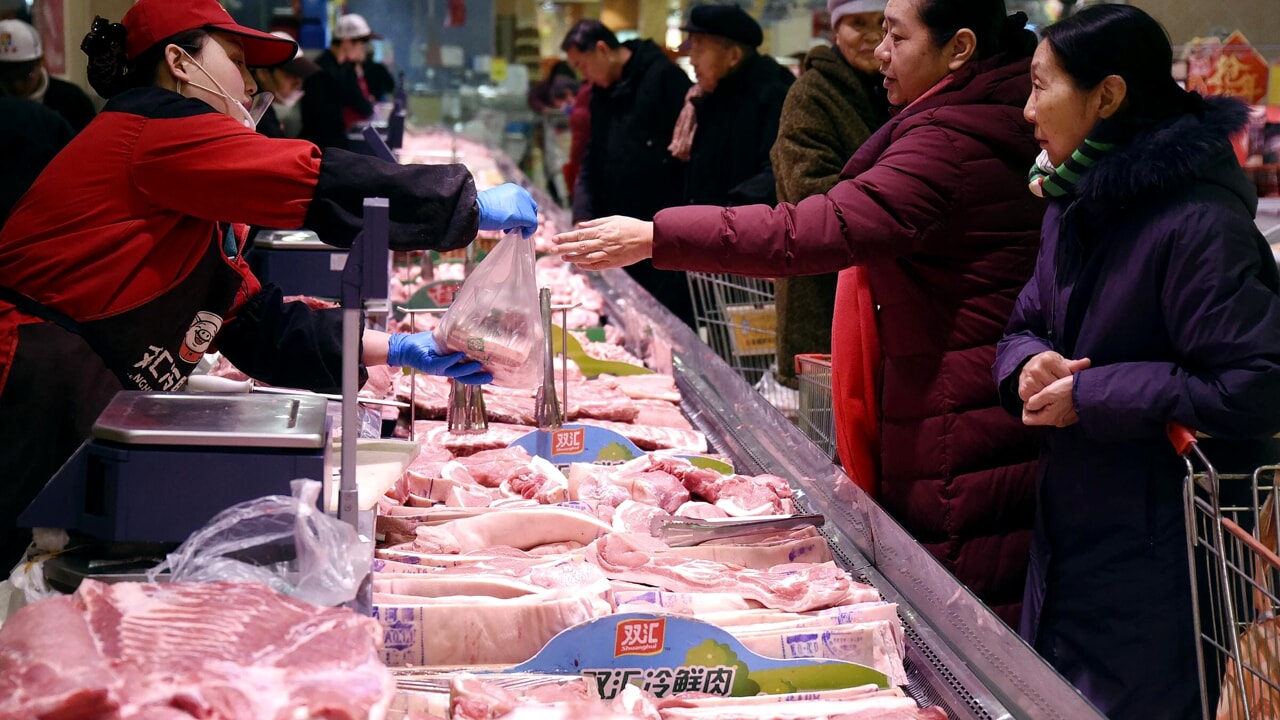 Dazi Ue sulle auto elettriche: la Cina prende di mira la nostra carne di suino