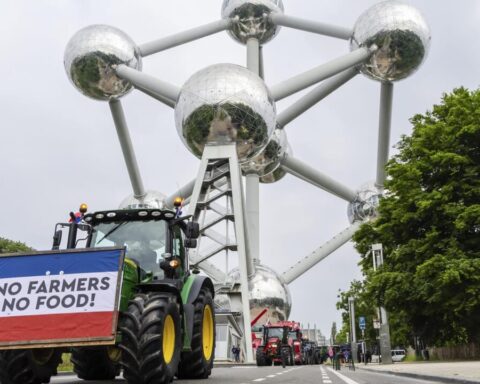 Meno controlli e tre miliardi di prestiti: i regali di Natale di von der Leyen per gli agricoltori