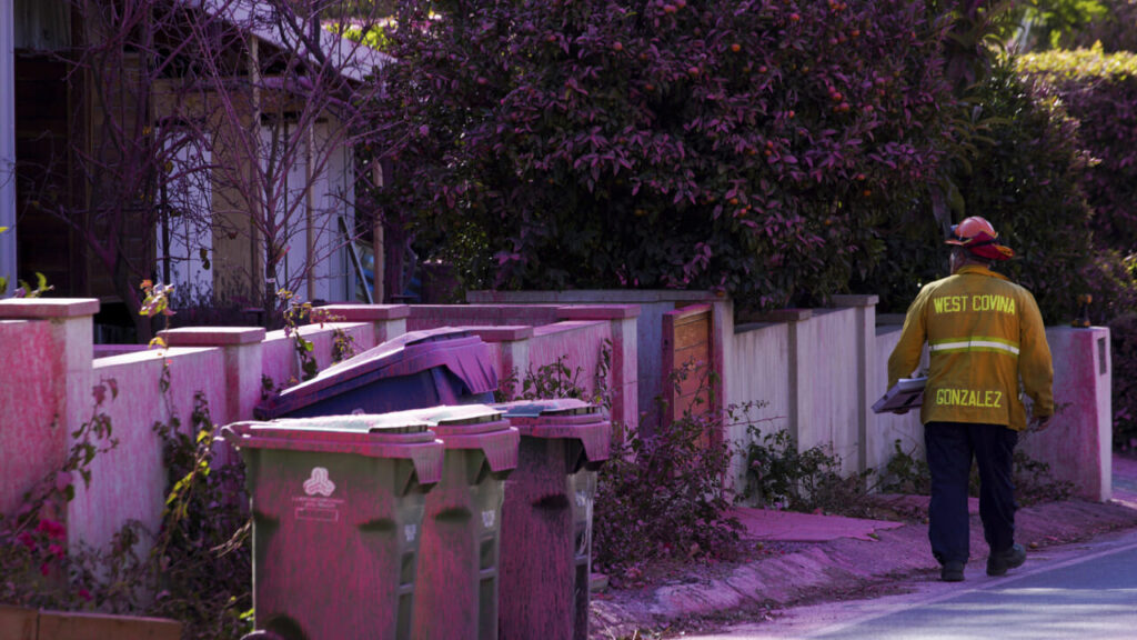 Ecco cos'è la polvere rosa che ricopre Los Angeles