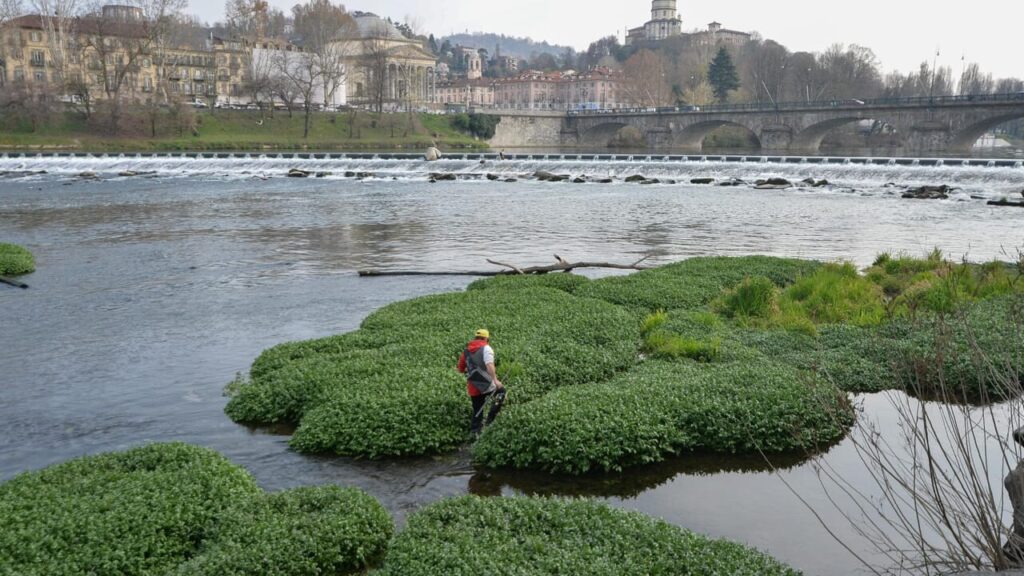 Acque inquinate dall'agricoltura e il ritorno della Terra dei Fuochi