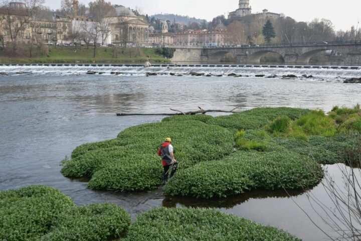 Acque inquinate dall'agricoltura e il ritorno della Terra dei Fuochi