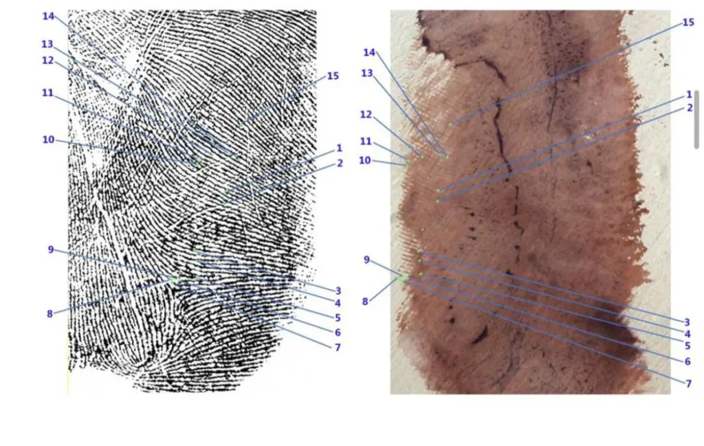Garlasco, i Ris cercarono già nel 2007 il dna nell’impronta 33: “Campione inibito”