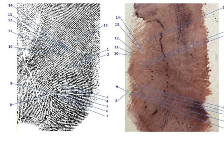 Garlasco, i Ris cercarono già nel 2007 il dna nell’impronta 33: “Campione inibito”