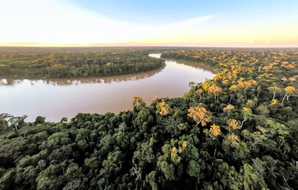 SOS foresta amazzonica: potremo perderla in modo irreversibile entro i prossimi 15 anni