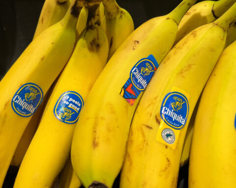 Il casoChiquita licenzierà tutti i dipendenti a Panama