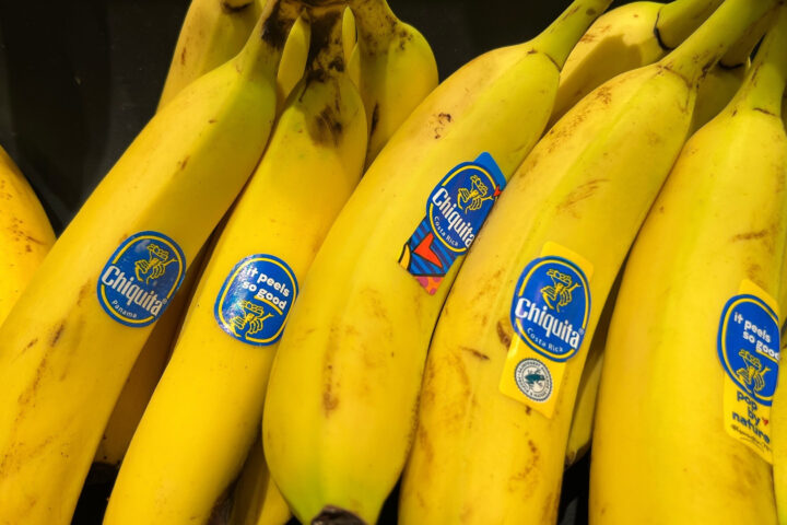 Il casoChiquita licenzierà tutti i dipendenti a Panama