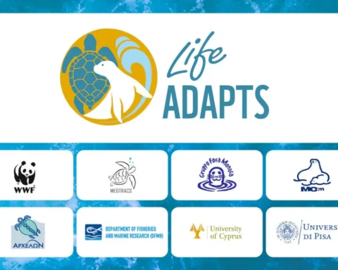 LIFE ADAPTS: nuove strategie di adattamento per tartarughe marine e foche monache del mediterraneo