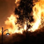 Arrestata una donna per incendio doloso sull'isola di Chios in Grecia