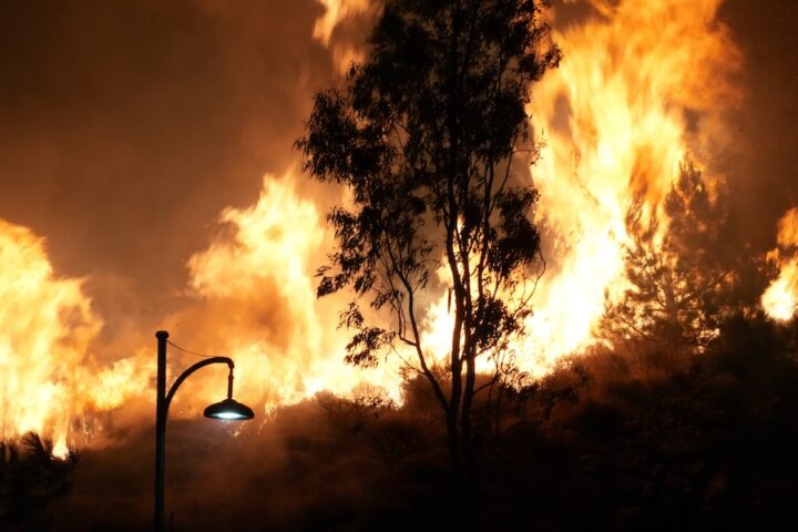 Arrestata una donna per incendio doloso sull'isola di Chios in Grecia