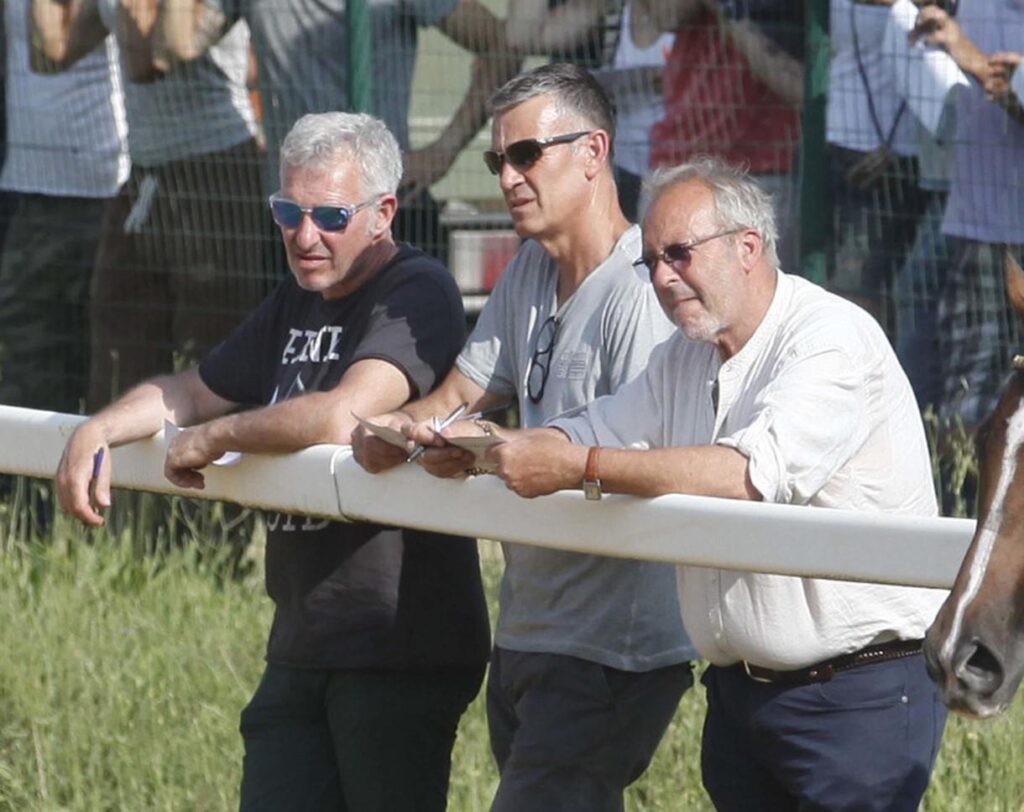 Cavalli, i veterinari fanno il punto: "Molti in forma, inclusi i più anziani. Controlli dopo le prove notturne"