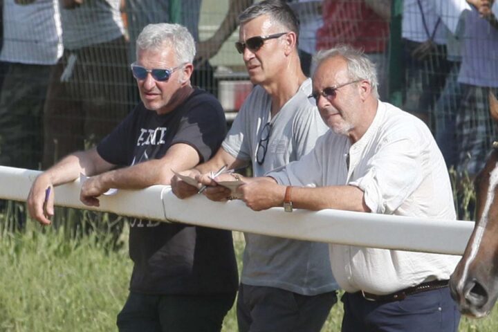 Cavalli, i veterinari fanno il punto: "Molti in forma, inclusi i più anziani. Controlli dopo le prove notturne"