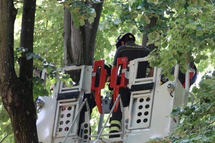 "Impossibile da prevedere. Approvato il piano di controlli nelle aree più affollate"