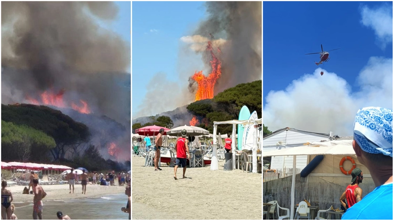 Incendio devastante in pineta, turisti in fuga mentre gli elicotteri intervengono