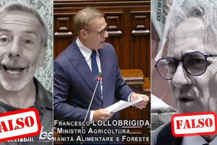 Lollobrigida contro la legge sulla caccia: video di accusa a Giovanni Storti e Bonelli