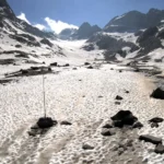 Mare a 28 gradi, cozze in pericolo per la strage di moscioli