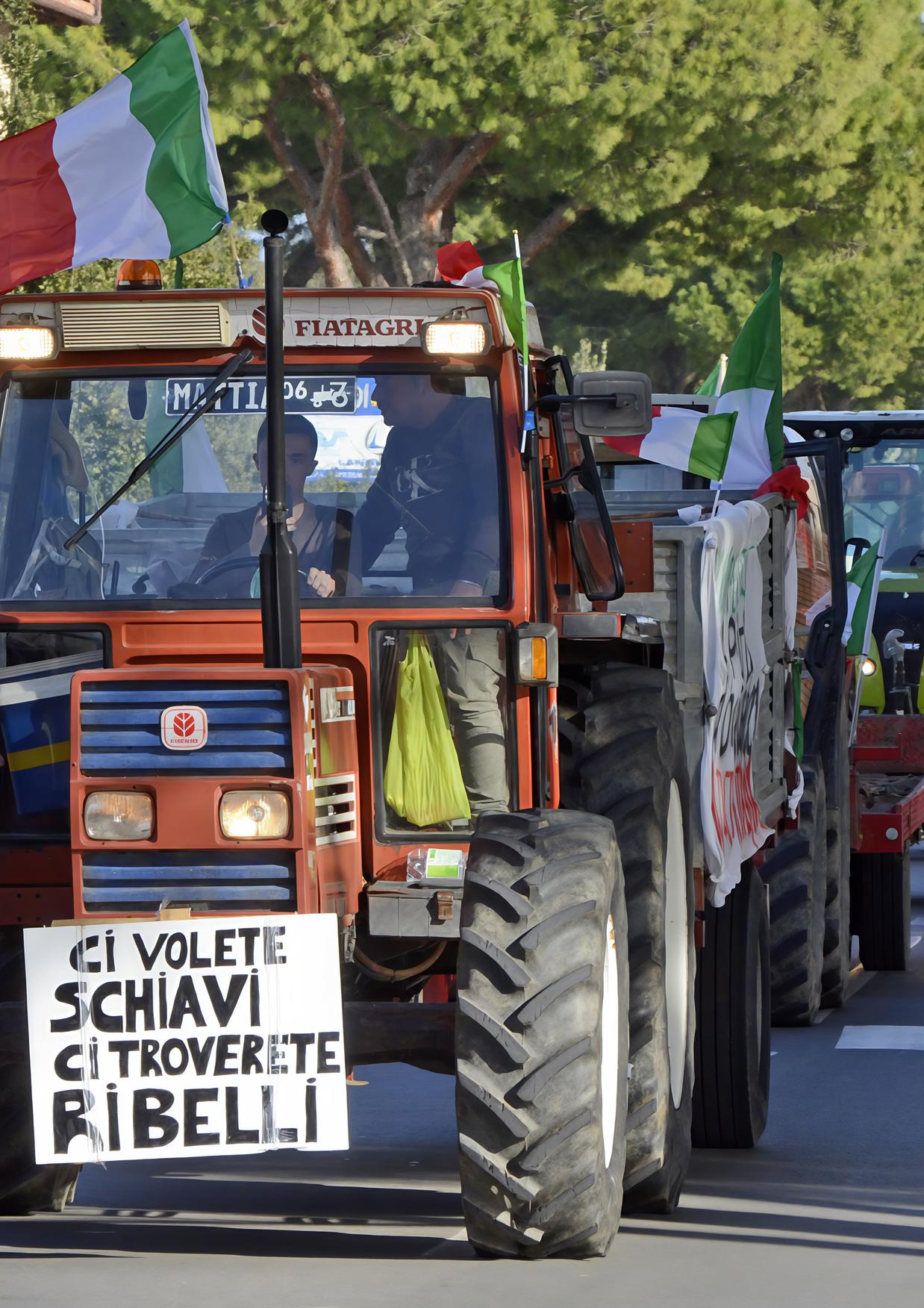 Nardella e l'agricoltura Ue: "Nessun taglio ai fondi o torneranno i trattori"