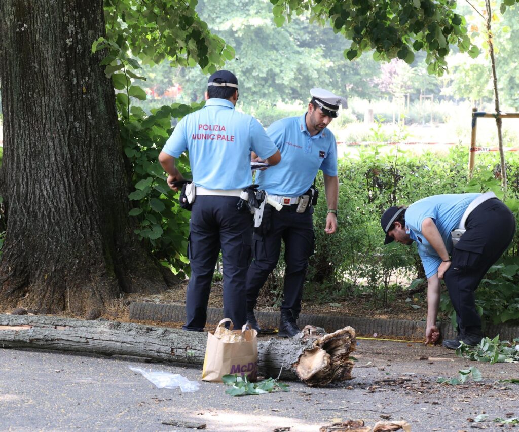 Paura al concerto: un grosso ramo cade sulla folla, grave una giovane alle Cascine.