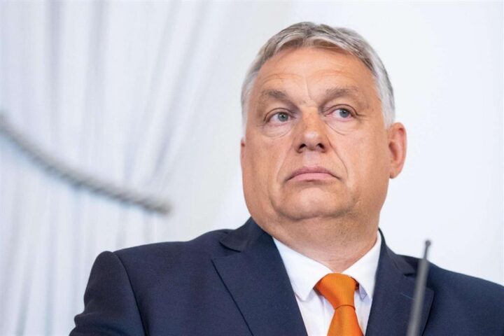 Il genero di Orbán nega favoritismi: “Sono un imprenditore, non un politico”