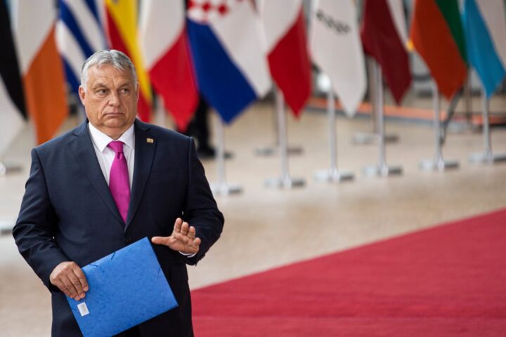 Il modello ungherese: il business politico di Orbán nel cuore dell'Europa