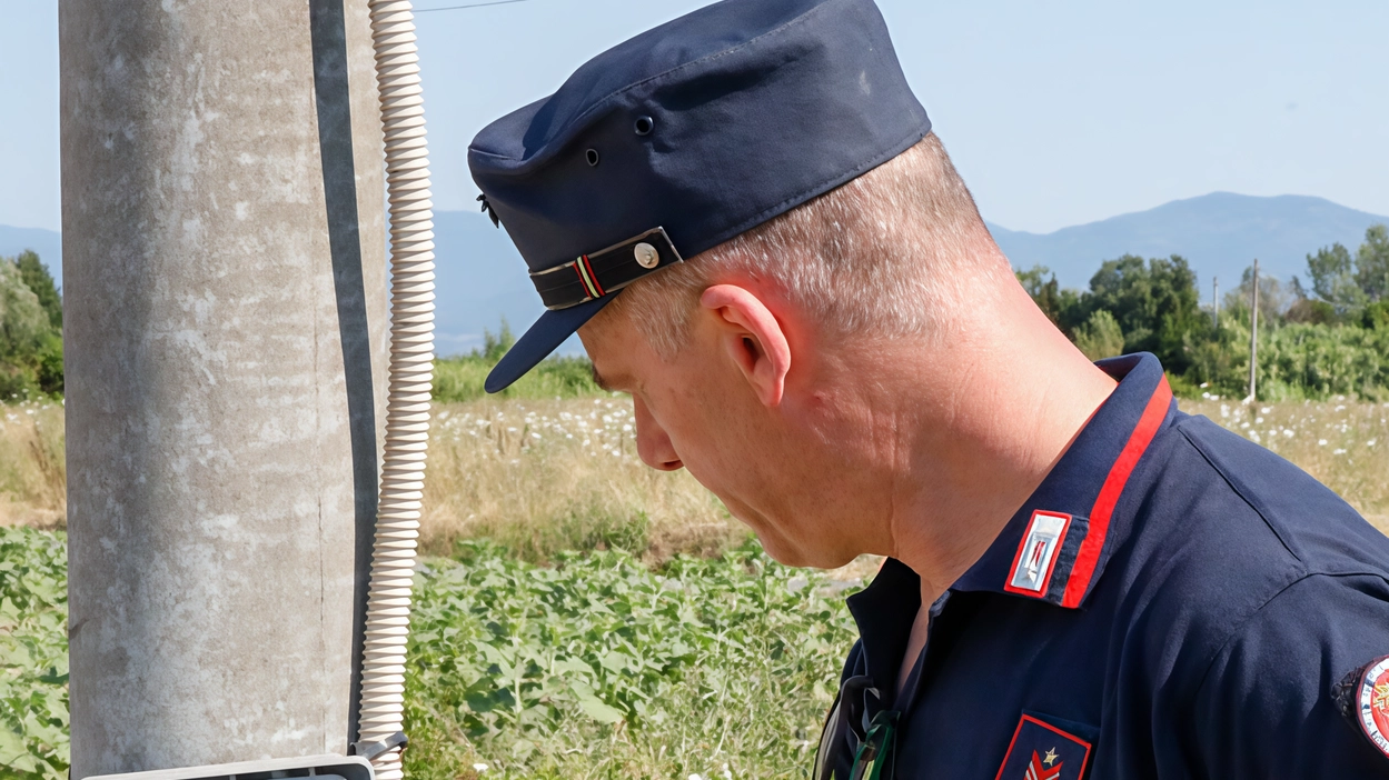 Aumento dei reati ambientali in Emilia-Romagna