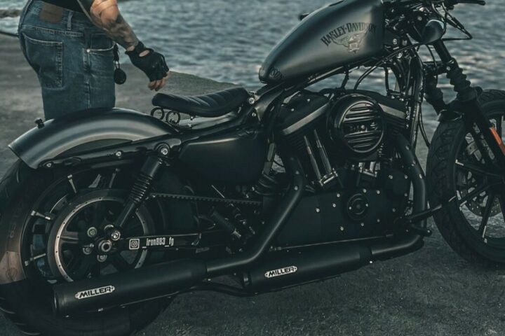 Dazi e controdazi: famiglie a rischio per Harley Davidson e burro di arachidi