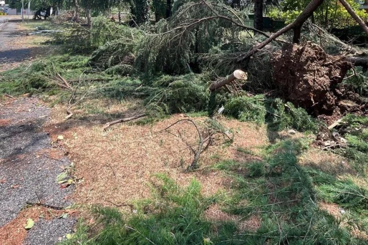 Estate in doppia velocità: come si muove la stagione