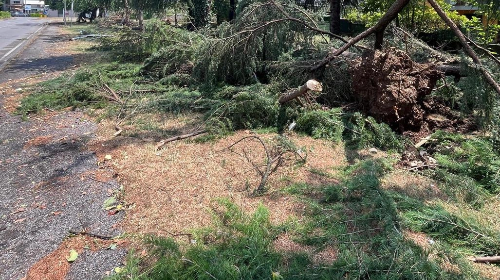 Estate in doppia velocità: come si muove la stagione