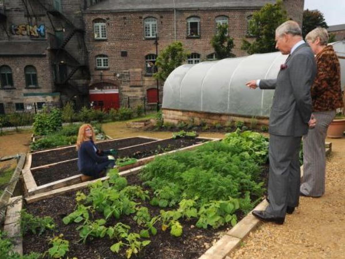 L'ossessione per il verde di re Carlo causa dimissioni tra i giardinieri del Gloucestershire
