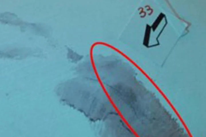 Oltre le aule di giustizia: i genitori della vittima e il silenzio dell'assassino