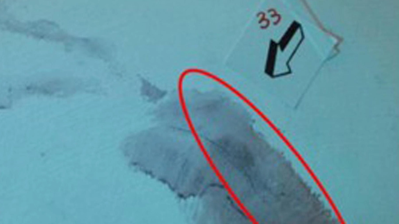 Oltre le aule di giustizia: i genitori della vittima e il silenzio dell'assassino