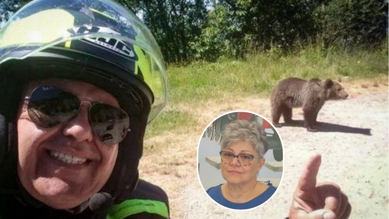 Omar Zin morto per attacco di un'orsa in Romania, la sorella: “Non stava filmando, è stata una fatalità”