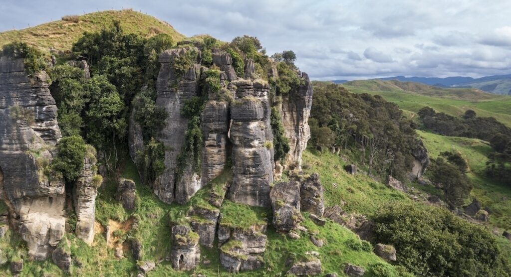 Cerca in Nuova Zelanda il padre in fuga Tom Phillips e i suoi tre figli scomparsi da dicembre 2021