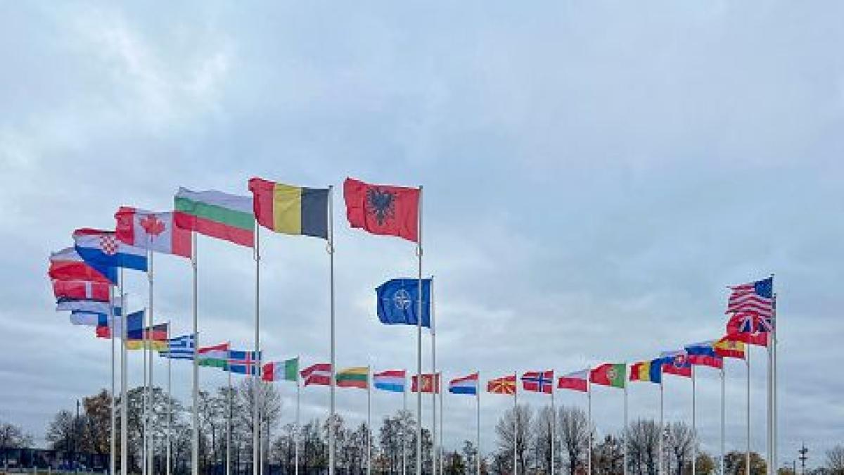 Cosa prevede l'articolo 5 della Nato e la sua applicazione in caso di invasione