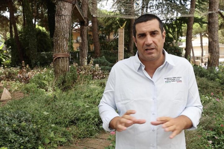 Difficoltà nel taglio dei pini malati in riviera romagnola, nascono comitati di opposizione