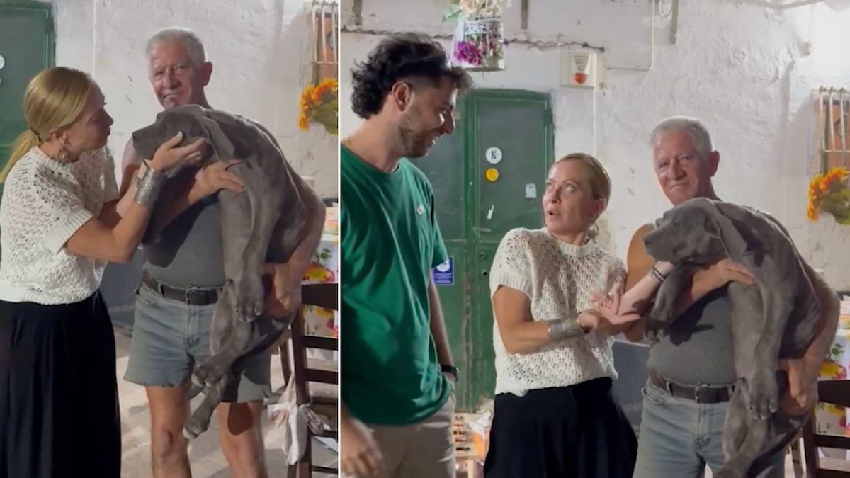 Giorgia Meloni in vacanza in Puglia con la figlia e Andrea Giambruno, visita a un allevamento di cani