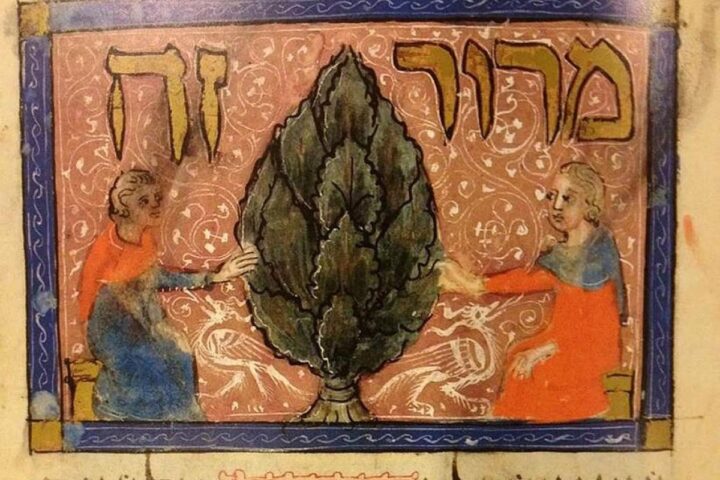 Il museo di Sarajevo raccoglie fondi per i palestinesi a Gaza