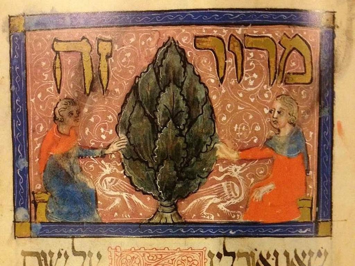 Il museo di Sarajevo raccoglie fondi per i palestinesi a Gaza