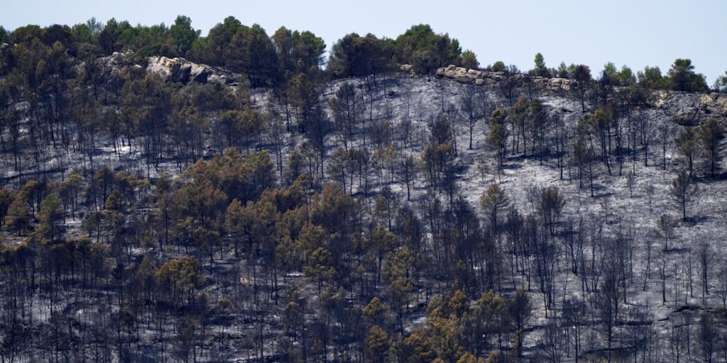 L'incendio boschivo nel sud-ovest della Francia è ora sotto controllo