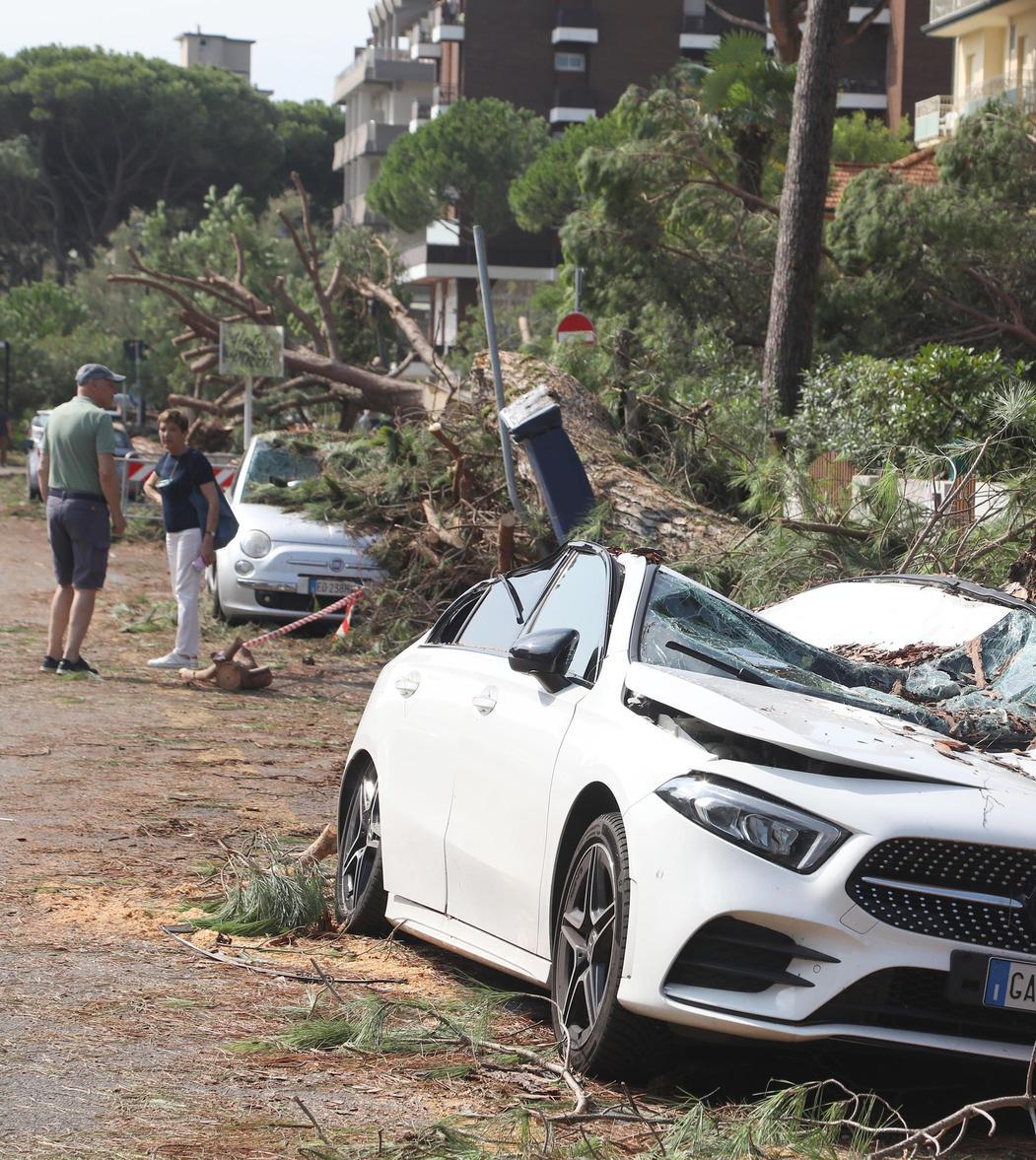 Milano Marittima: danni ingenti dopo la tempesta, oltre mille pini abbattuti e verifica della stabilità avviata