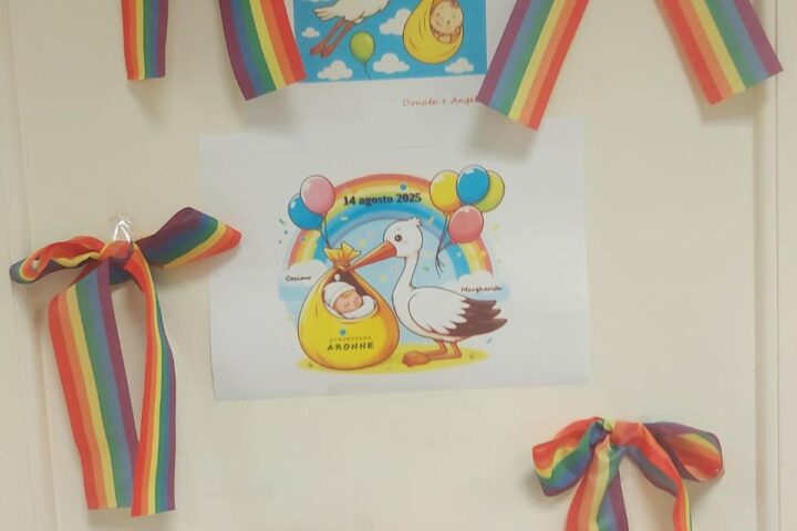 Polemica a Padova per i fiocchi arcobaleno dell'assessora Colonnello per la nascita del figlio