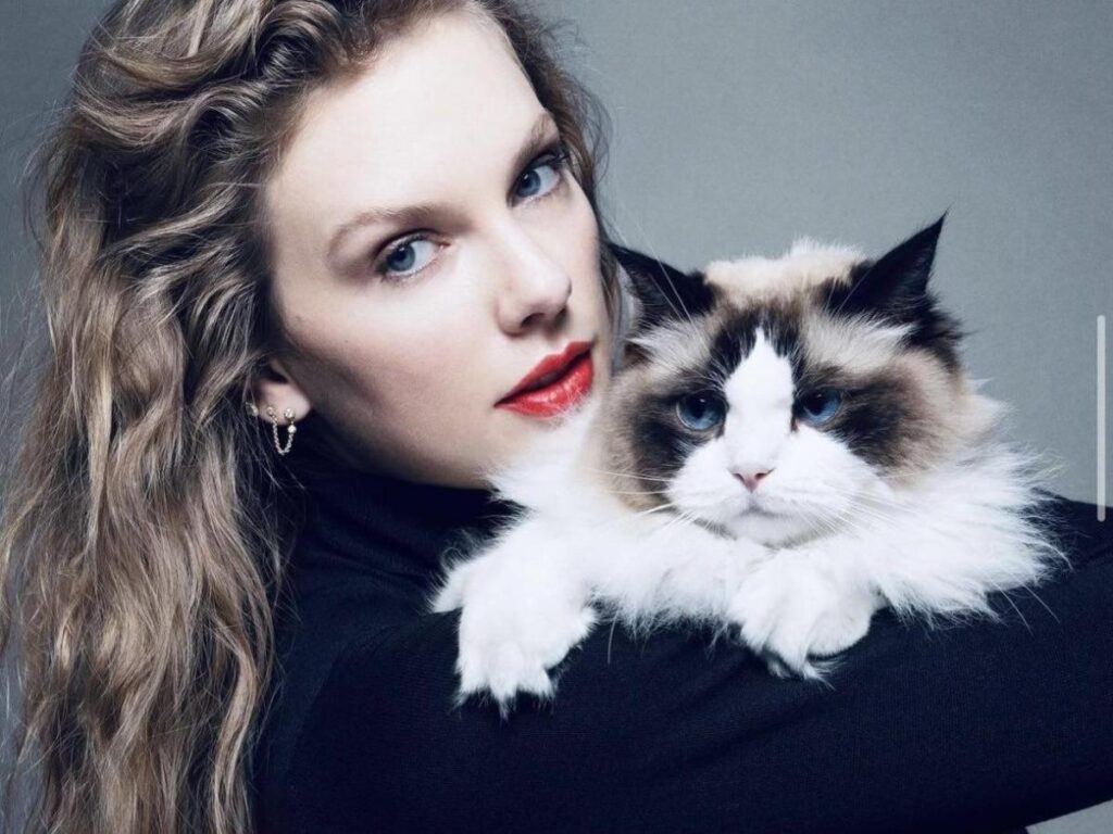 Taylor Swift e il suo fidanzamento: segna l'inizio dell'era conservatrice?