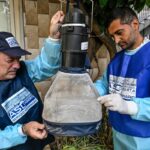 Virus del West Nile: due nuove vittime a Latina e Caserta, avviati controlli nelle aree a rischio