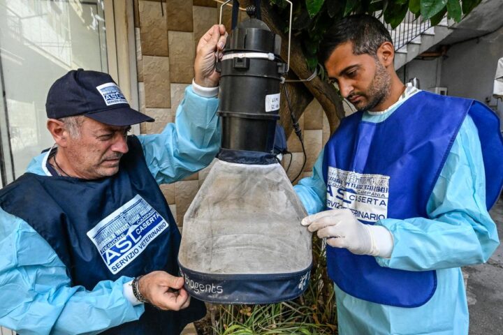 Virus del West Nile: due nuove vittime a Latina e Caserta, avviati controlli nelle aree a rischio