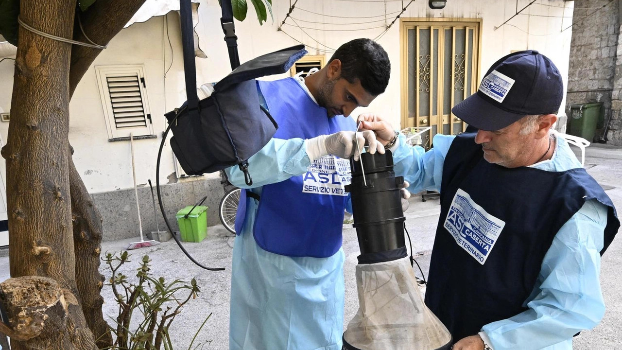 West Nile: sesta vittima nel Lazio, anziana di Latina. Primo caso a Roma