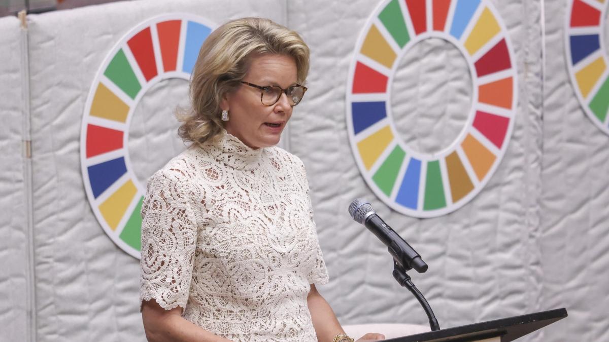 Alberto di Monaco e le regine Mathilde e Màxima a New York per l'80º anniversario dell'Onu