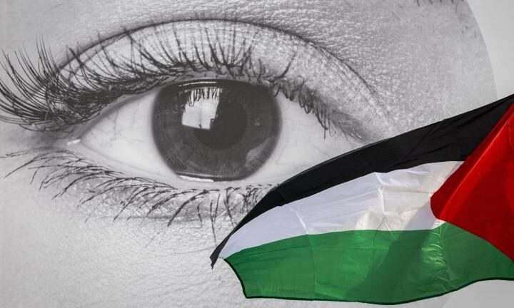 All'Onu si celebra il giorno della Palestina, ma Israele e Stati Uniti assenti