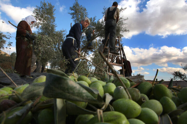Cosa significa 'sumud': il concetto di resistenza palestinese nella Global Sumud Flotilla
