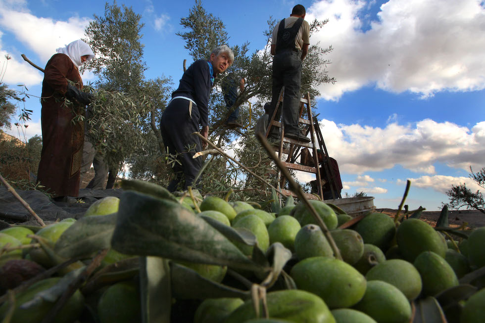 Cosa significa 'sumud': il concetto di resistenza palestinese nella Global Sumud Flotilla